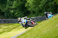 brands-hatch-photographs;brands-no-limits-trackday;cadwell-trackday-photographs;enduro-digital-images;event-digital-images;eventdigitalimages;no-limits-trackdays;peter-wileman-photography;racing-digital-images;trackday-digital-images;trackday-photos
